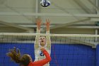 Wheaton Women's Volleyball  Wheaton Women's Volleyball vs Bridgewater State University. : Wheaton, Volleyball, BSU, Bridgewater State College